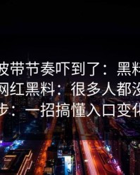 我被这波带节奏吓到了：黑料吃瓜最新地址网红黑料：很多人都没做这一步：一招搞懂入口变化