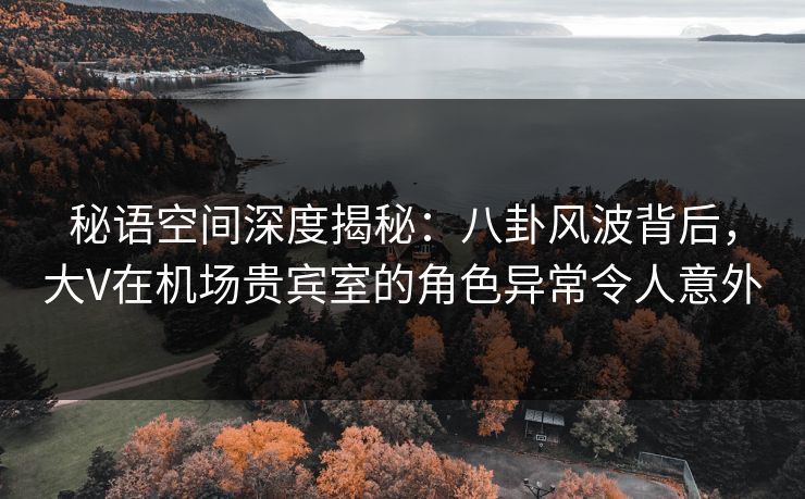 秘语空间深度揭秘：八卦风波背后，大V在机场贵宾室的角色异常令人意外