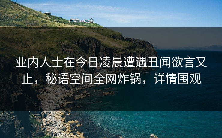 业内人士在今日凌晨遭遇丑闻欲言又止，秘语空间全网炸锅，详情围观
