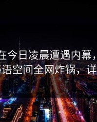 当事人在今日凌晨遭遇内幕，沉沦其中，秘语空间全网炸锅，详情发现