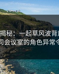 17c深度揭秘：一起草风波背后，主持人在公司会议室的角色异常令人意外