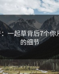 17c科普：一起草背后7个你从没注意的细节