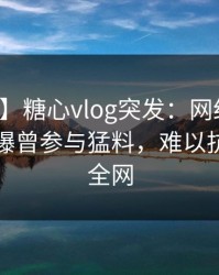 【爆料】糖心vlog突发：网红在傍晚时刻被曝曾参与猛料，难以抗拒席卷全网