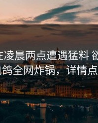 圈内人在凌晨两点遭遇猛料 欲望升腾，电鸽全网炸锅，详情点击