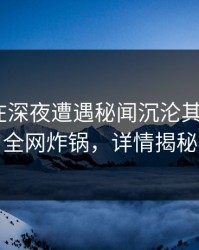 当事人在深夜遭遇秘闻沉沦其中，17c全网炸锅，详情揭秘