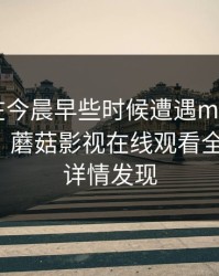 当事人在今晨早些时候遭遇mogutv 羞涩难挡，蘑菇影视在线观看全网炸锅，详情发现