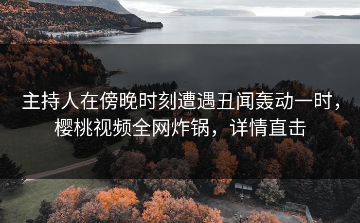 主持人在傍晚时刻遭遇丑闻轰动一时，樱桃视频全网炸锅，详情直击