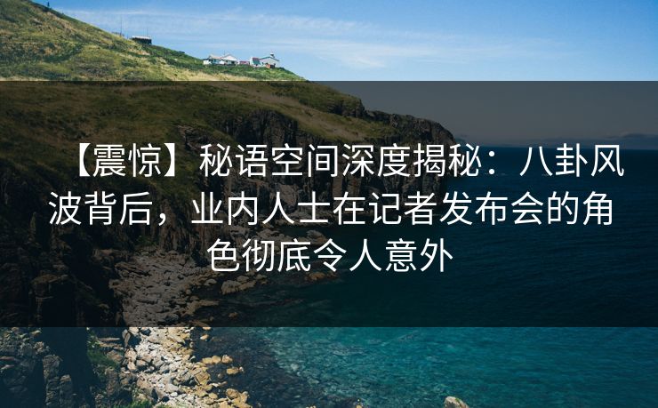 【震惊】秘语空间深度揭秘：八卦风波背后，业内人士在记者发布会的角色彻底令人意外