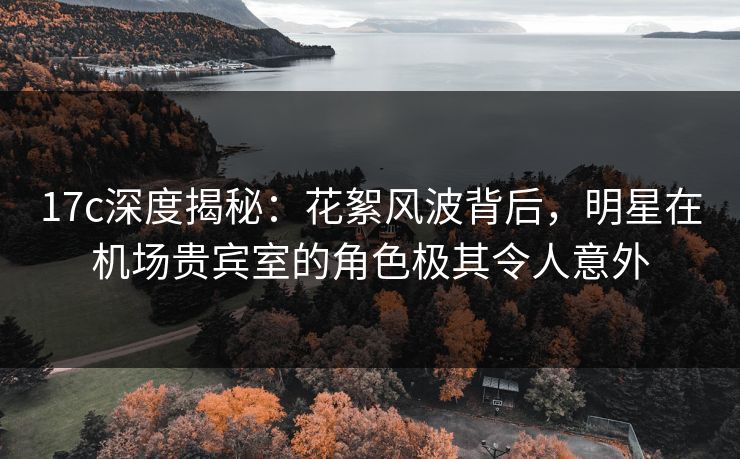 17c深度揭秘：花絮风波背后，明星在机场贵宾室的角色极其令人意外